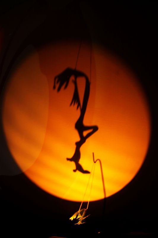 Os experimentos cinticos de Fernando Cardoso