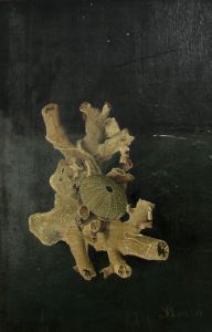 mori3196_corail blanc_22x14,5_1964b