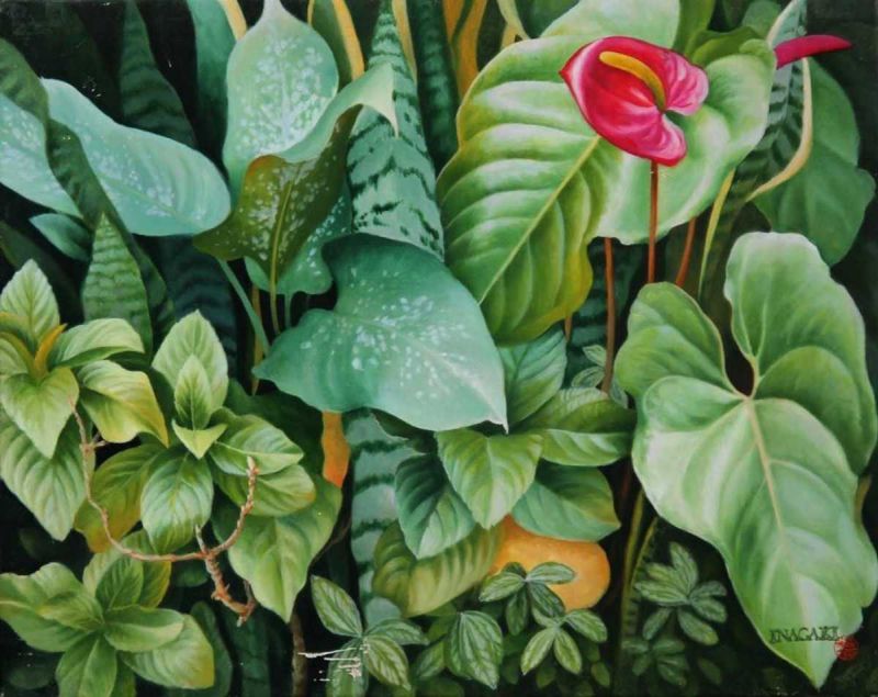 A Multiplicidade do Olhar de Inagaki