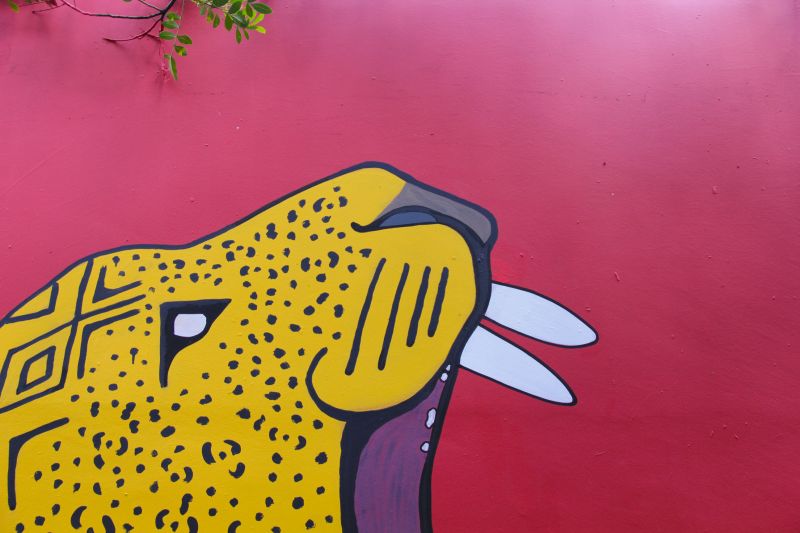 Multimuro celebra arte indgena