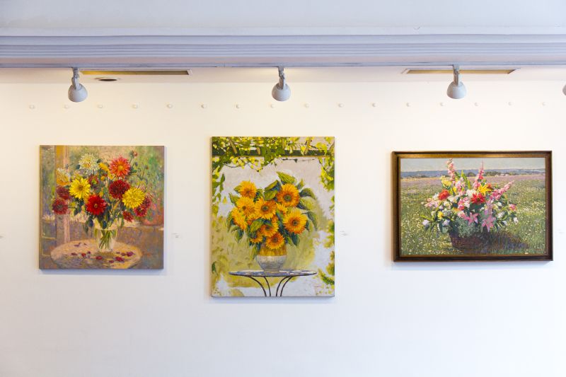 Guia do Colecionador Iniciante