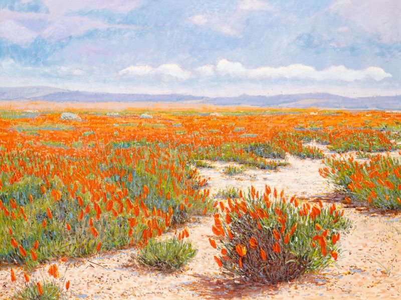 Monográficas 6 e 7 - Augusto Marx e Raquel Taraborelli Monográficas 6 e 7 - Augusto Marx e Raquel Taraborelli