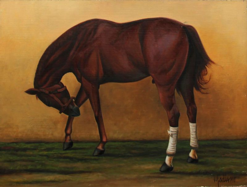 Madiano Tomei