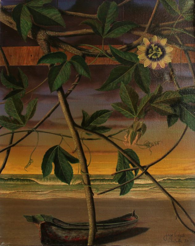 Jorge Vidgili