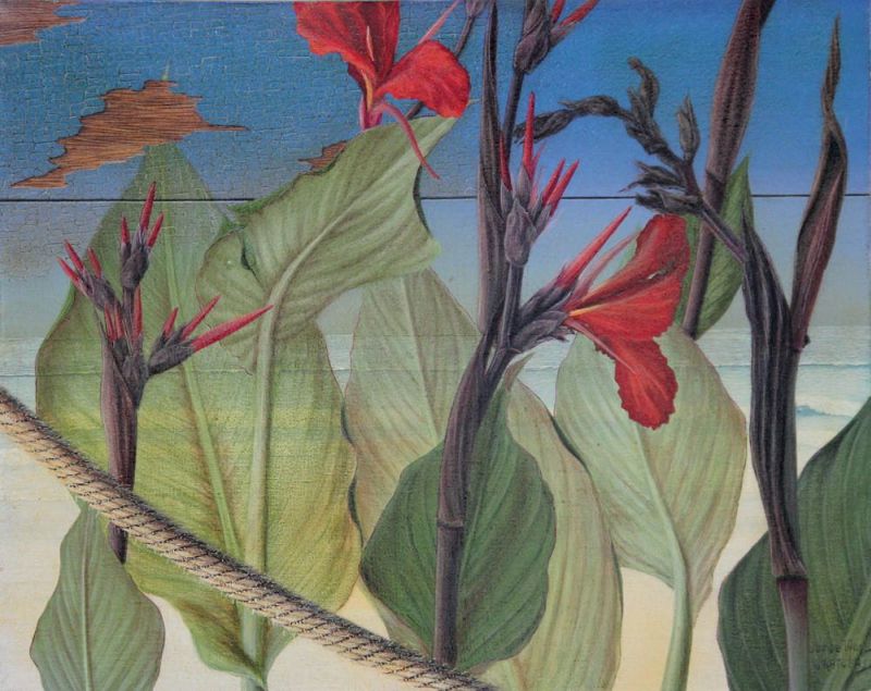 Jorge Vidgili - Flores