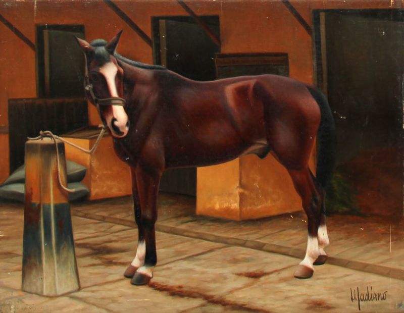 Madiano Tomei