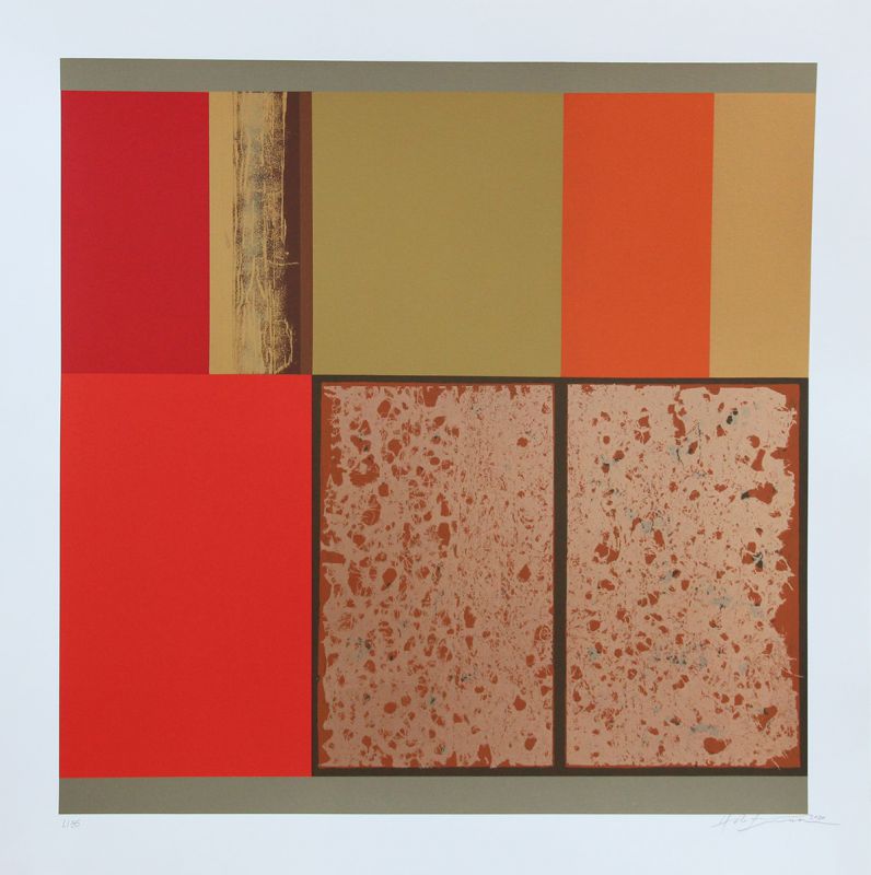 Herton Roitman - Sem t�tulo (faixa laranja )