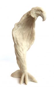 Claudio Aun
