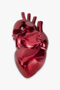 Snia Menna Barreto - Heart