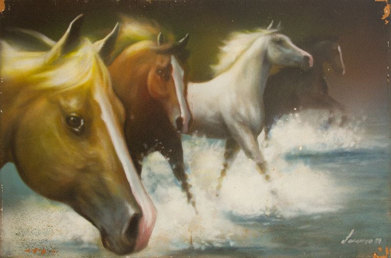 Jos Toledo Piza Loureno Jnior - CAVALOS