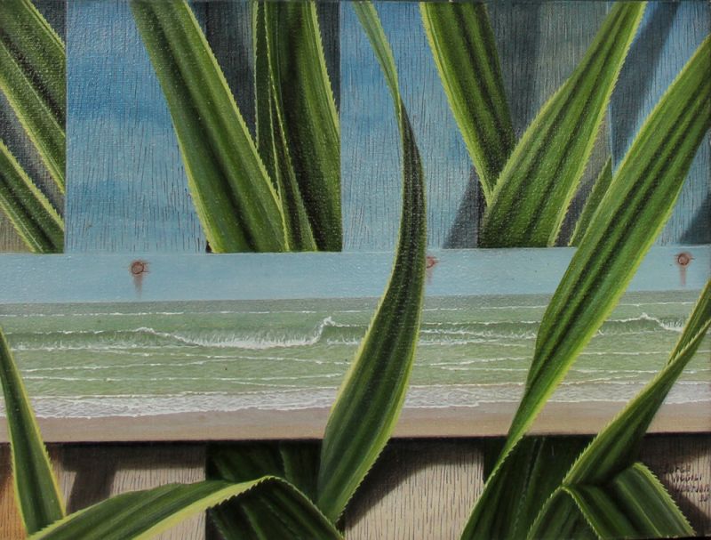 Jorge Vidgili - Folhagem e Mar
