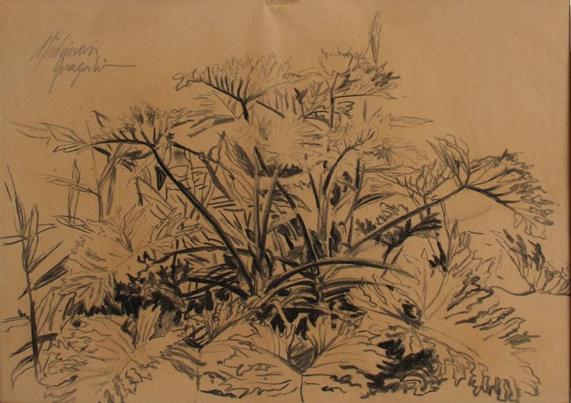 Michinori Inagaki