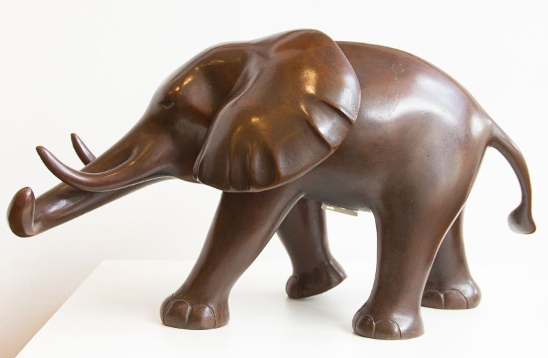 Sonia Ebling - Elefante