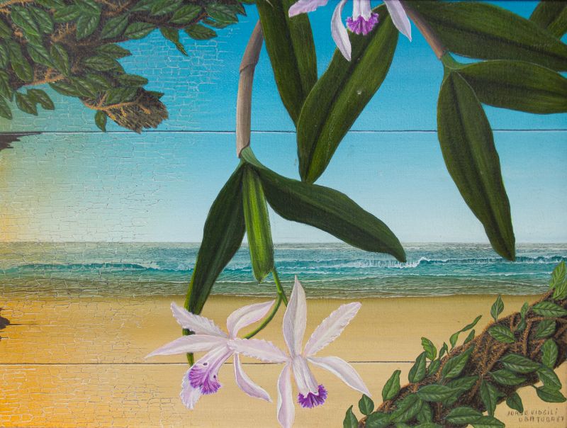 Jorge Vidgili - FLOR
