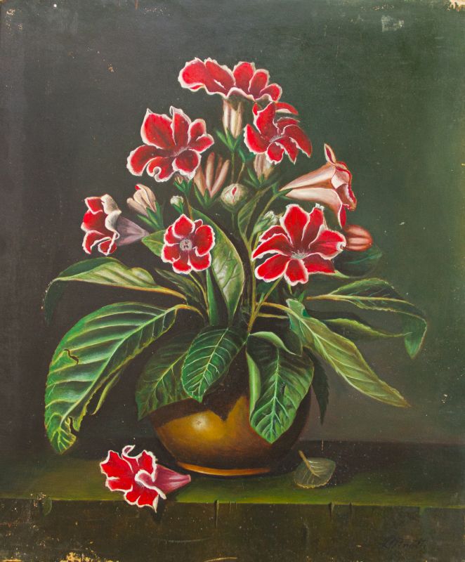 Levy Pinotti - GLOXINIA