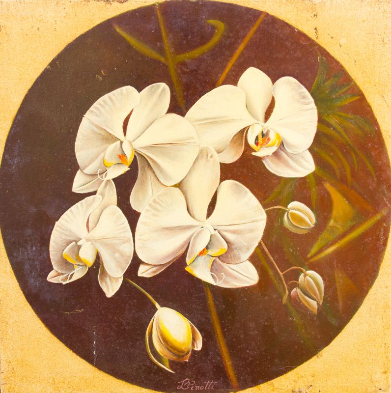 Levy Pinotti - ORQUIDEAS