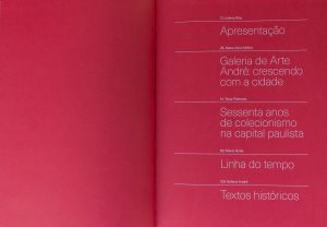 Catlogo - Galeria de Arte Andr 60 anos <CPIA>