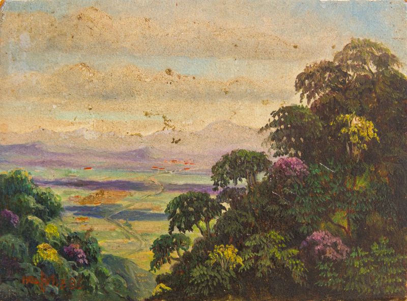Francisco Prohane - VISTA ALTA