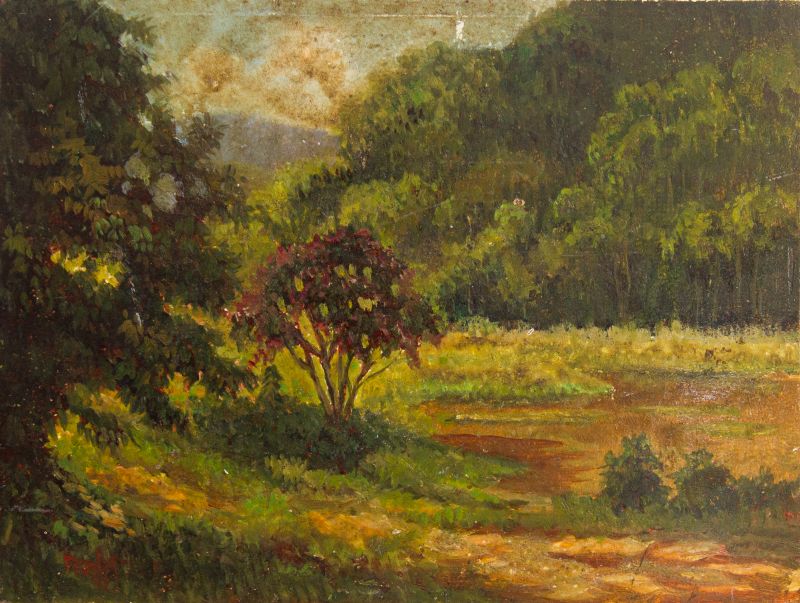 Francisco Prohane - LAGOA ITARIRI