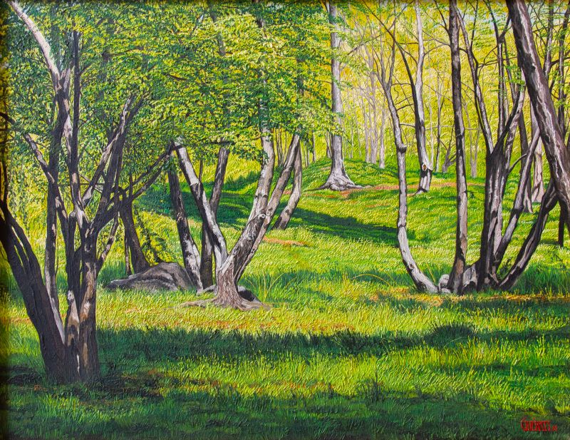 Patrick Thomas Guerati - AMANHECER NA FLORESTA