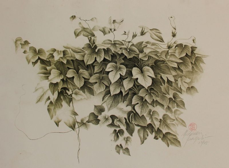 Michinori Inagaki - Folhagens