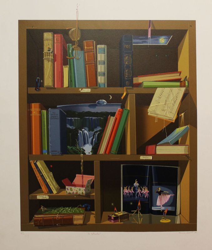 S�nia Menna Barreto - A estante