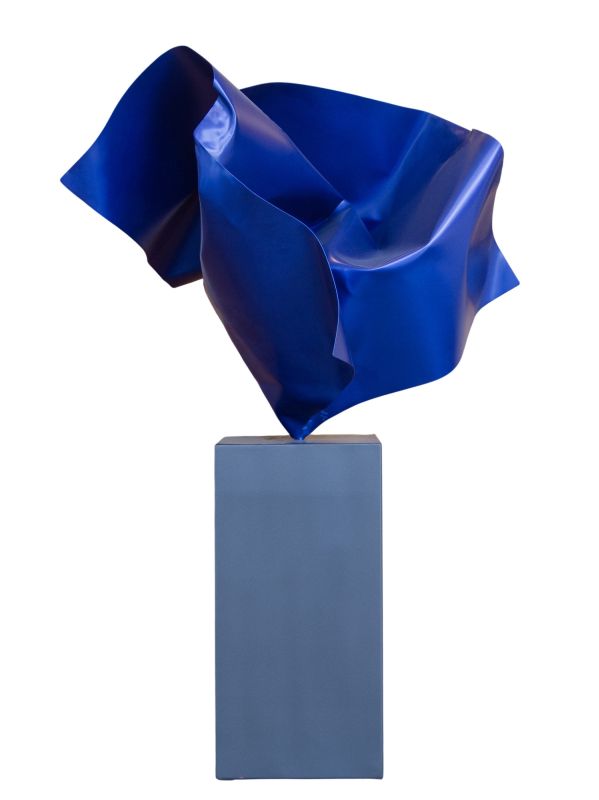 C�ssio L�zaro - Flor azul