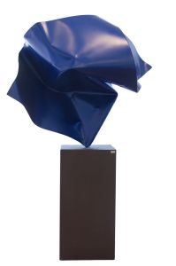 C�ssio L�zaro - Flor azul