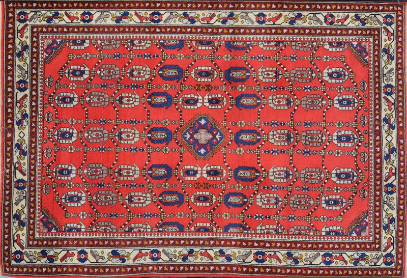 Caucasus - KUBA SHIRVAN