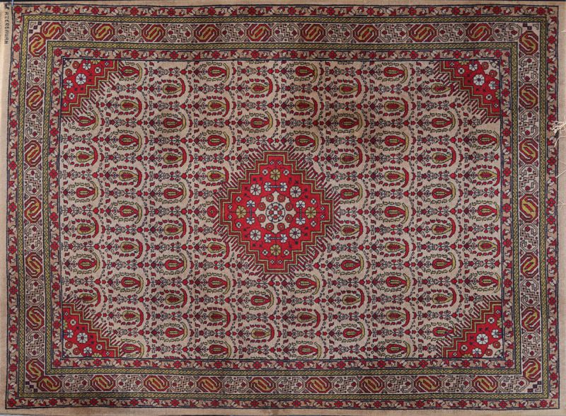 Caucasus - KUBA SHIRVAN